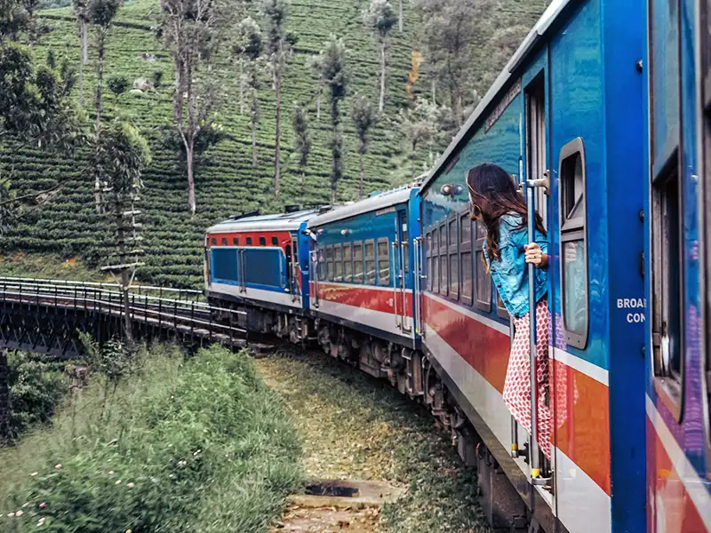 Blue train winding through tea plantations between Kandy and Ella