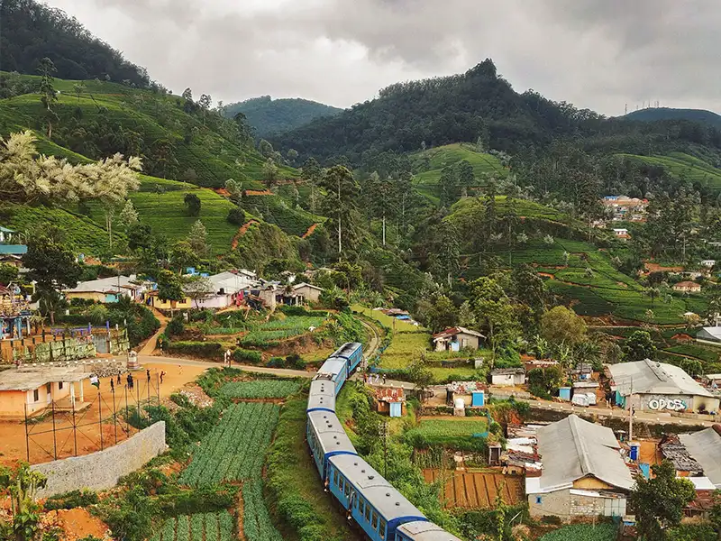 Traveller looking out over Sri Lanka hill country while planning a 2026 itinerary