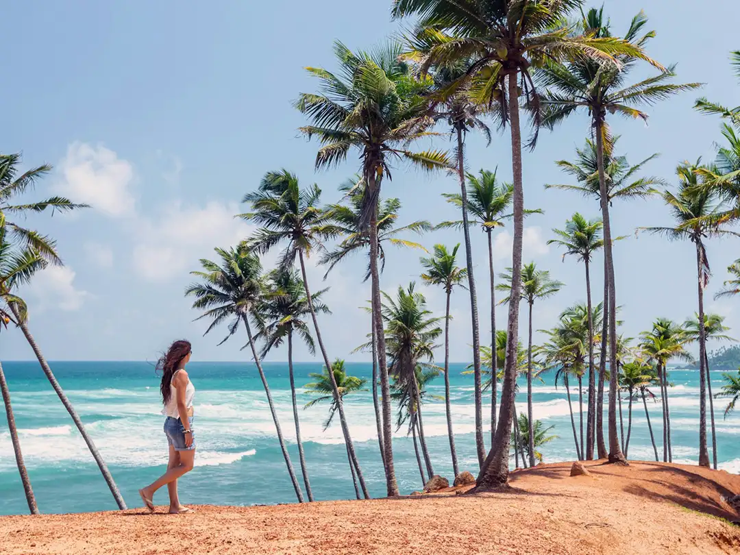 Beaches, forests and wildlife in Sri Lanka