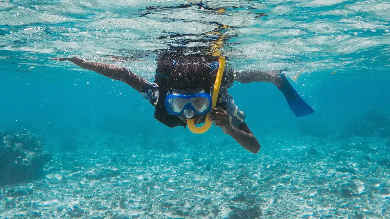 Bar Reef snorkelling, Kalpitiya, Sri Lanka