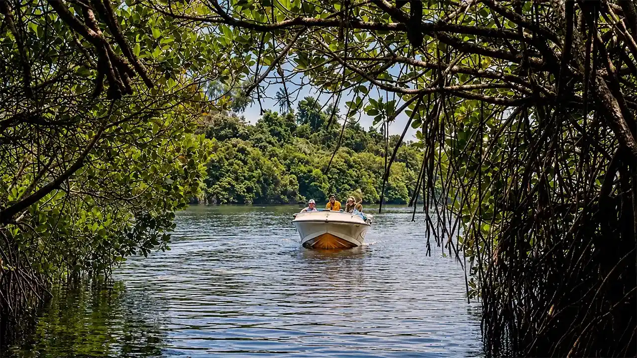 Bentota River safari, Sri Lanka