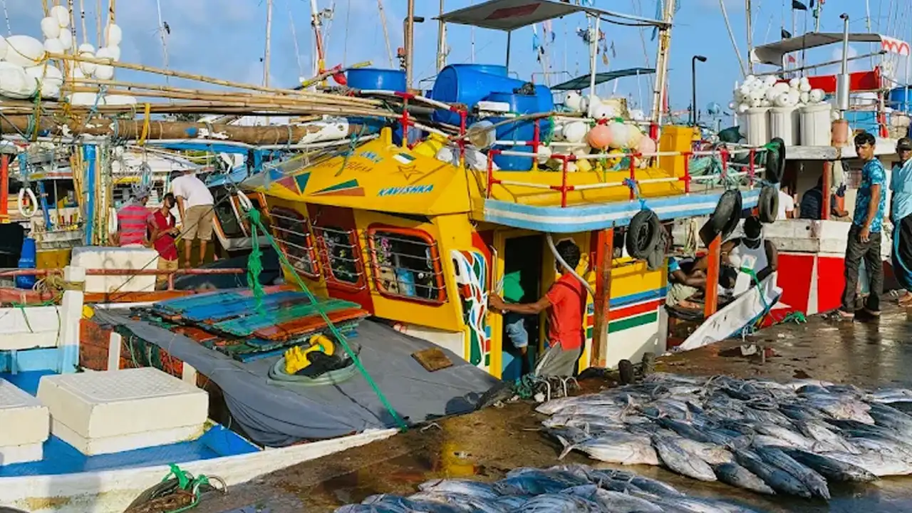 Beruwala fishing harbour, Sri Lanka