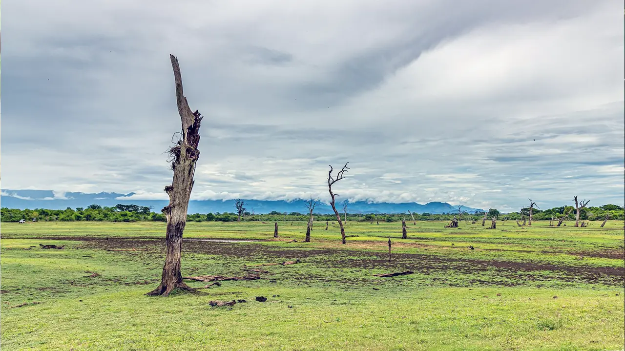 Central location of Udawalawe for wildlife safaris and southern Sri Lanka travel