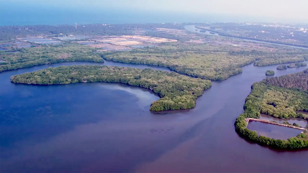 Chilaw Lagoon, Sri Lanka