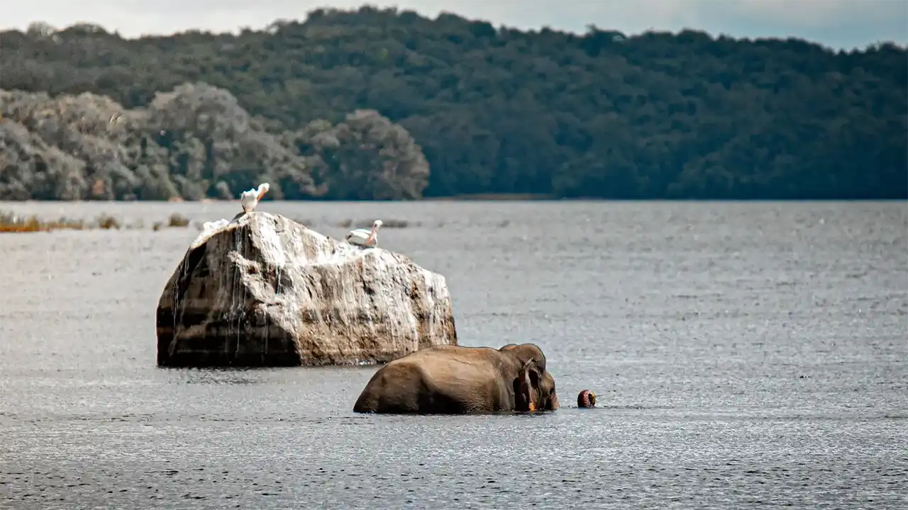 Extend your trip from Gal Oya to nearby Sri Lanka attractions