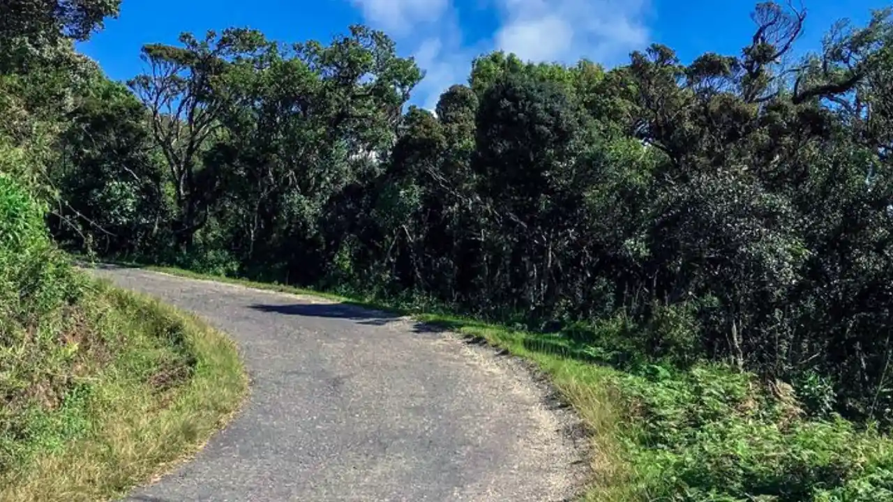 Gateway to Horton Plains National Park in Nuwara Eliya, Sri Lanka