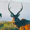 Horton Plains National Park travel destination in Sri Lanka