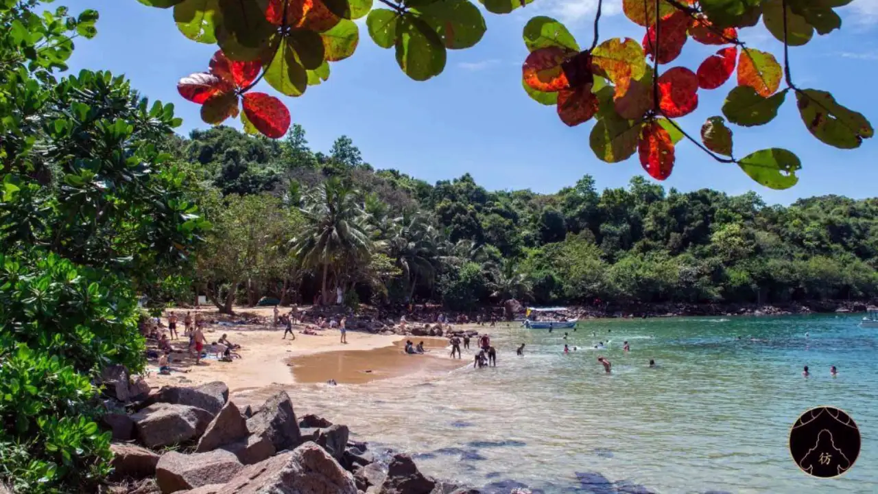 Jungle beach and tropical coastline near Unawatuna