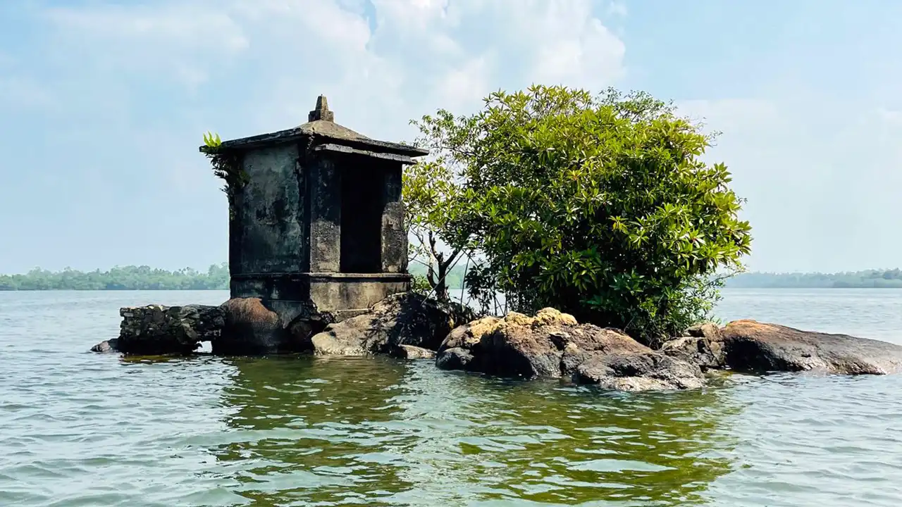 Madu River boat safari in Balapitiya, Sri Lanka – mangrove wetlands and wildlife exploration