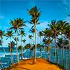 Mirissa beach destination and tropical coastline in Sri Lanka