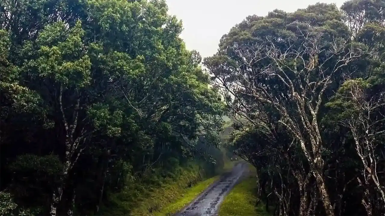 Horton Plains travel route through Sri Lanka’s central highlands