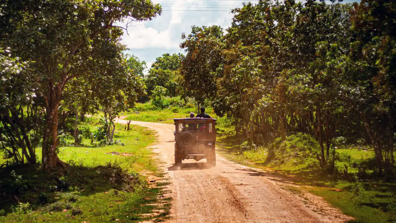 Safari gateway to Sri Lanka’s wildlife parks and nature experiences.
