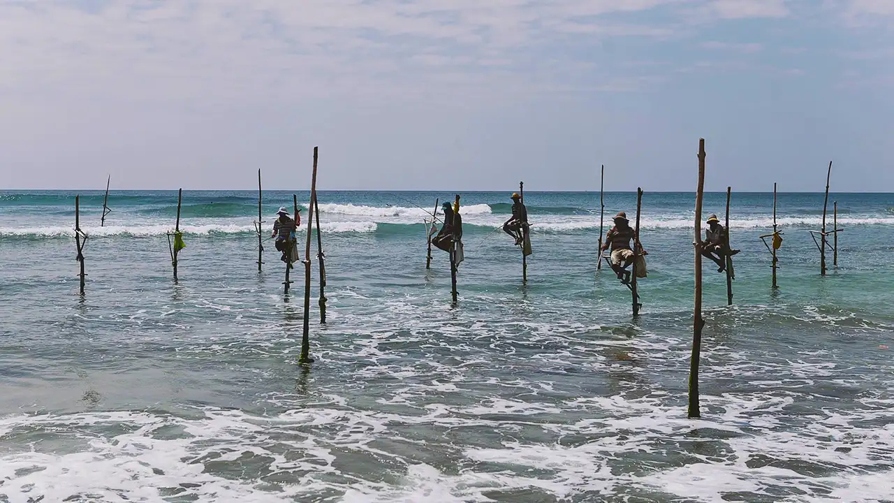 Traditional stilt fishermen along the coast of Weligama, Sri Lanka