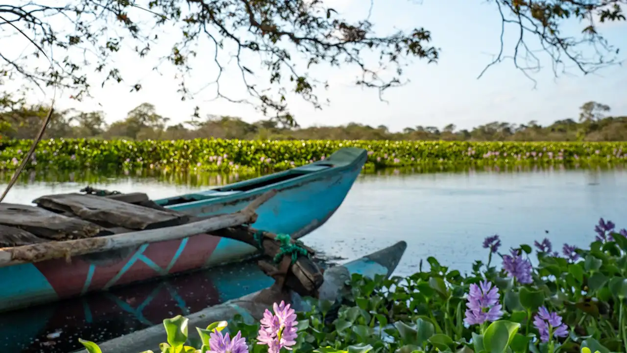Sri Lankan village and lake experiences showcasing rural culture and scenic nature.