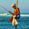 Weligama beach destination and surfing coast in southern Sri Lanka