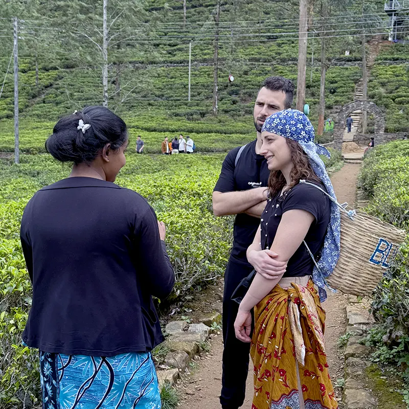 Tea Plantation Walk in Nuwara Eliya