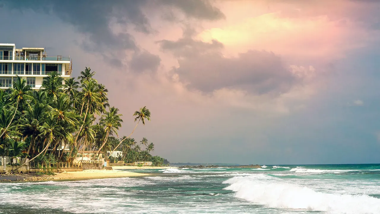 Best things to do while surfing in Arugam Bay, Sri Lanka