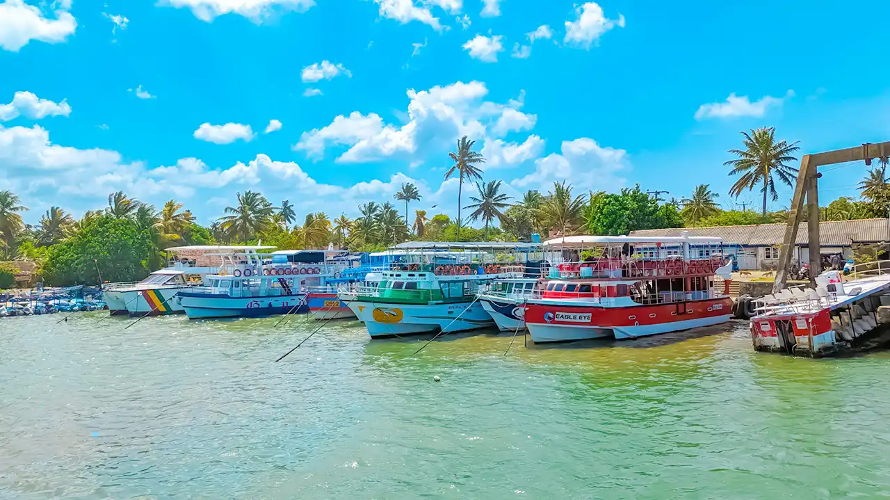 Blue whale boat trip from Mirissa, Sri Lanka