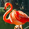 Bundala National Park bird-watching safari in Sri Lanka