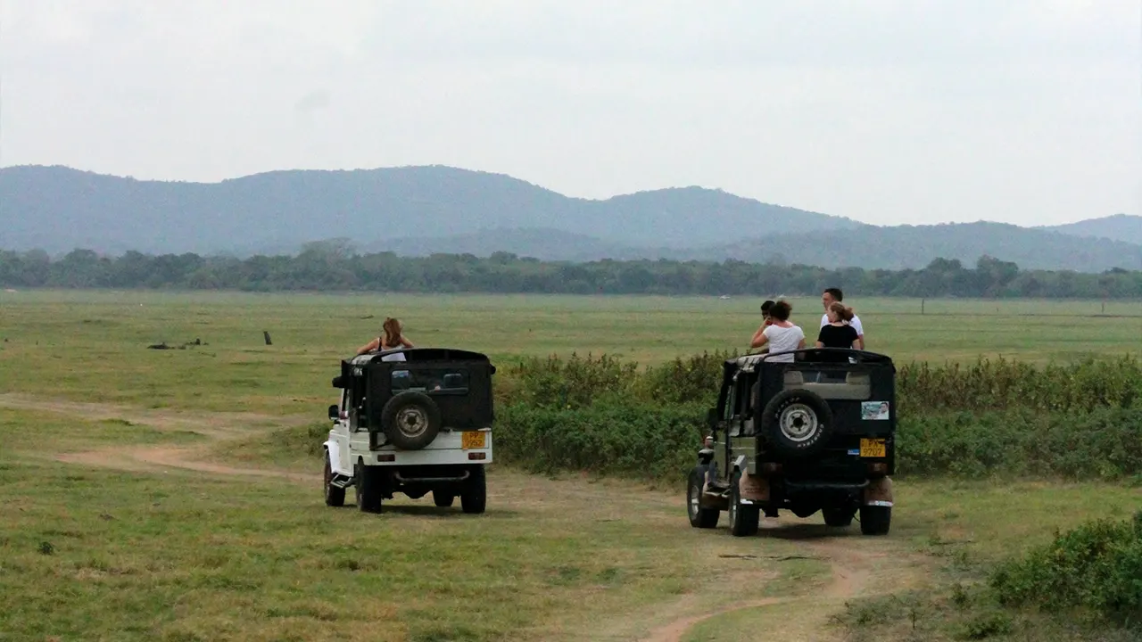 Cultural Triangle safari add-on experience in Sri Lanka with Sri Lanka Travel Tours