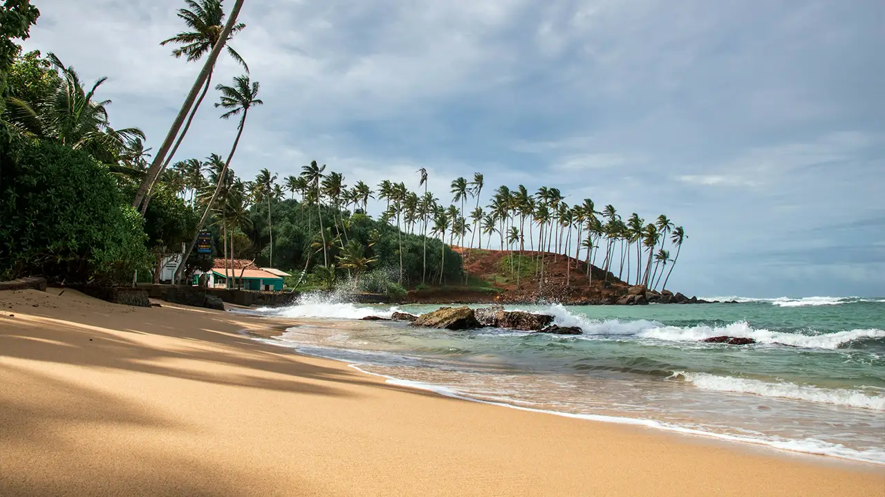 Getting to Mirissa for a whale watching safari in Sri Lanka