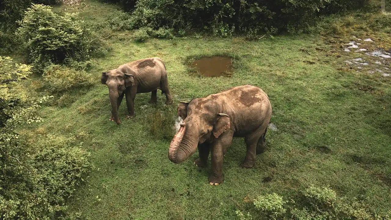Getting to Yala National Park, Sri Lanka