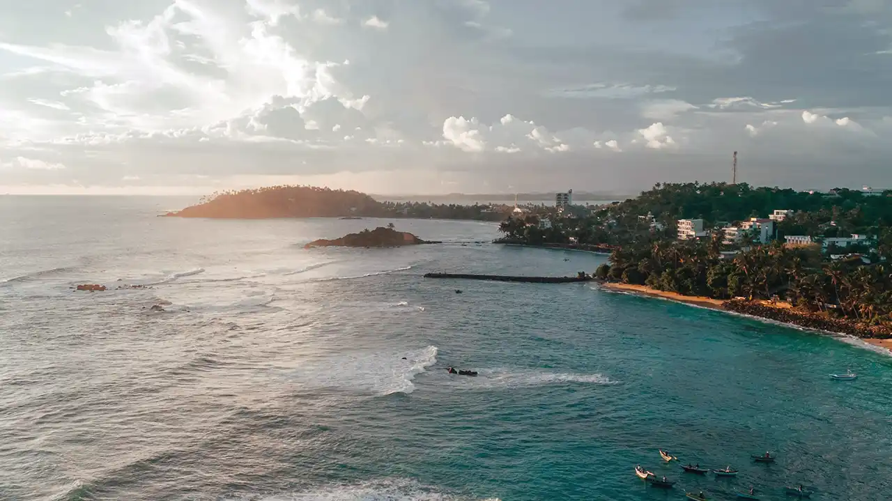 Plan your visit for whale watching in Mirissa, Sri Lanka