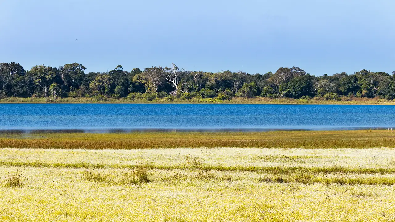 Leopard safari in Wilpattu National Park, Sri Lanka