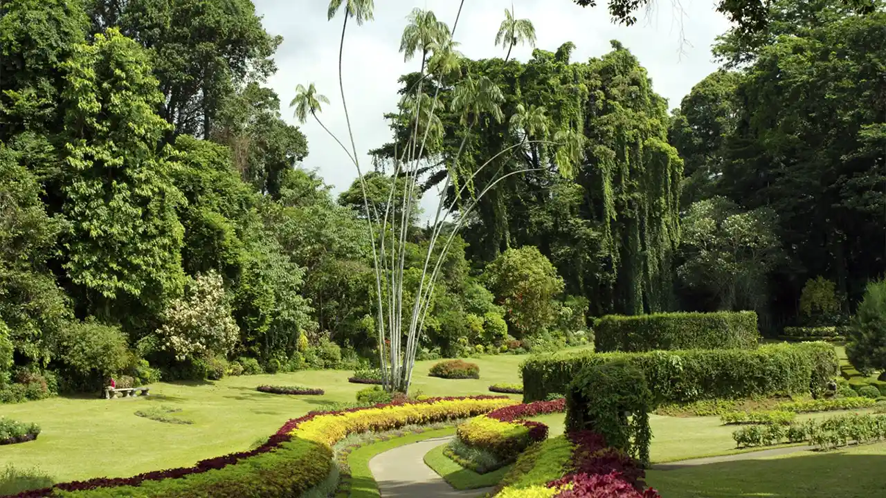 10-day luxury Sri Lanka honeymoon experience