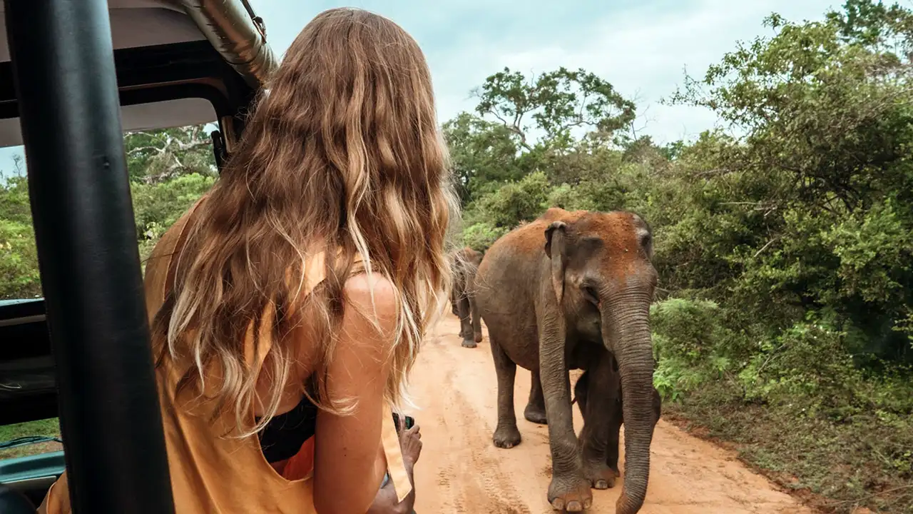 12-day Sri Lanka honeymoon tour with Yala safari – romantic wildlife experience