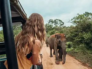 12-day Sri Lanka honeymoon with Yala safari