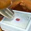 B2B gemstone trade tour in Sri Lanka