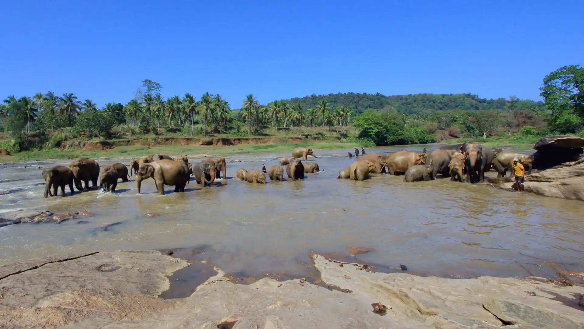 Happy family enjoying a baby-friendly holiday in Sri Lanka with a child-friendly travel experience