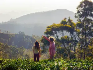 Couple enjoying a tea experience in Ella, Sri Lanka