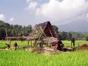 Authentic Sri Lankan gem village experience with traditional gemstone mining and local craftsmanship