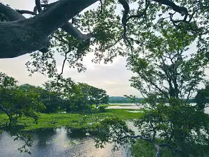 Hiriwadunna village guesthouse in Habarana, Sri Lanka