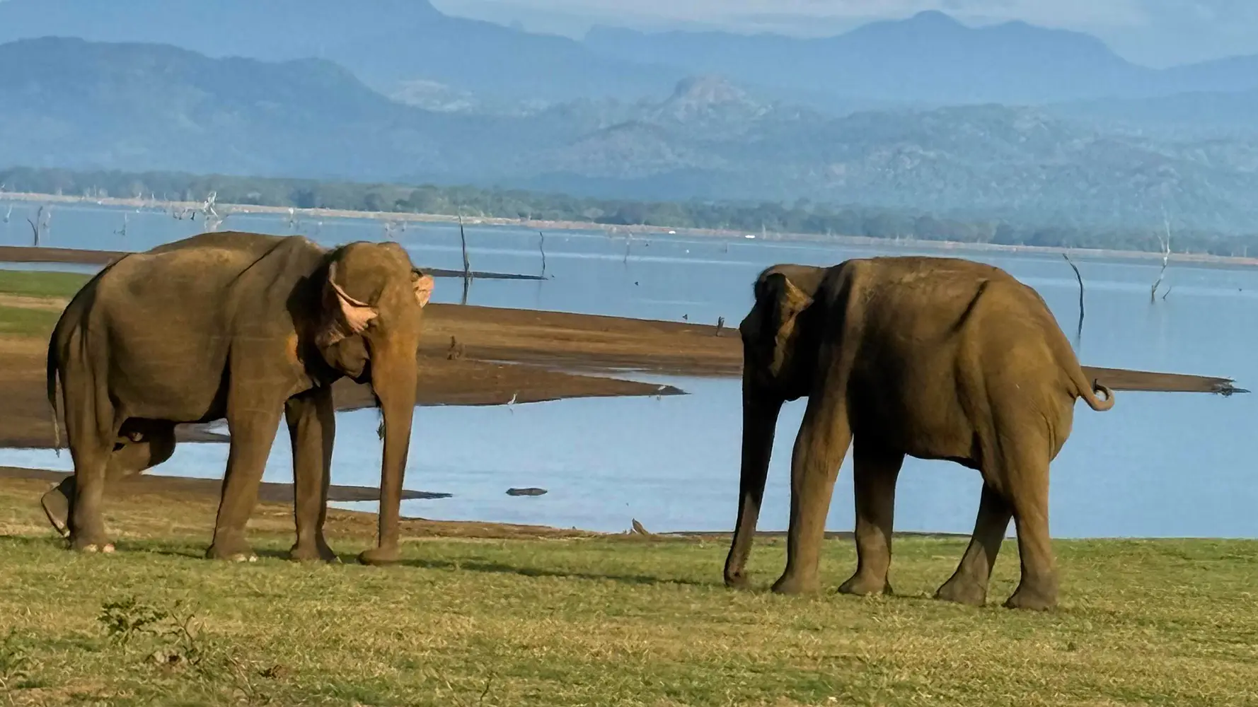 Private safari jeep in Sri Lanka, part of an all-inclusive Sri Lanka tour package