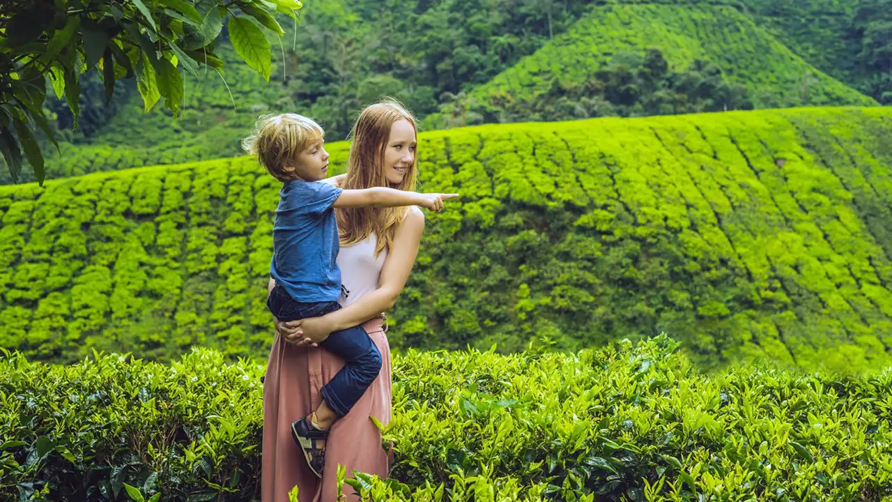 Father and son exploring a Sri Lankan tea estate