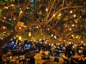 10-day Sri Lanka honeymoon in Hiriketiya with Sri Lanka Travel Tours