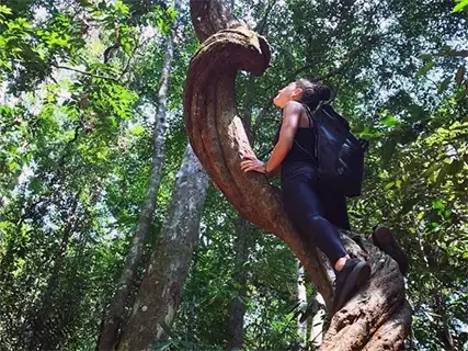 Sinharaja Forest activities — Day 13 of Adventure – From Peaks to Waves