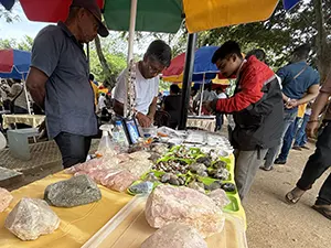 Vetted gemstone supplier introductions in Sri Lanka