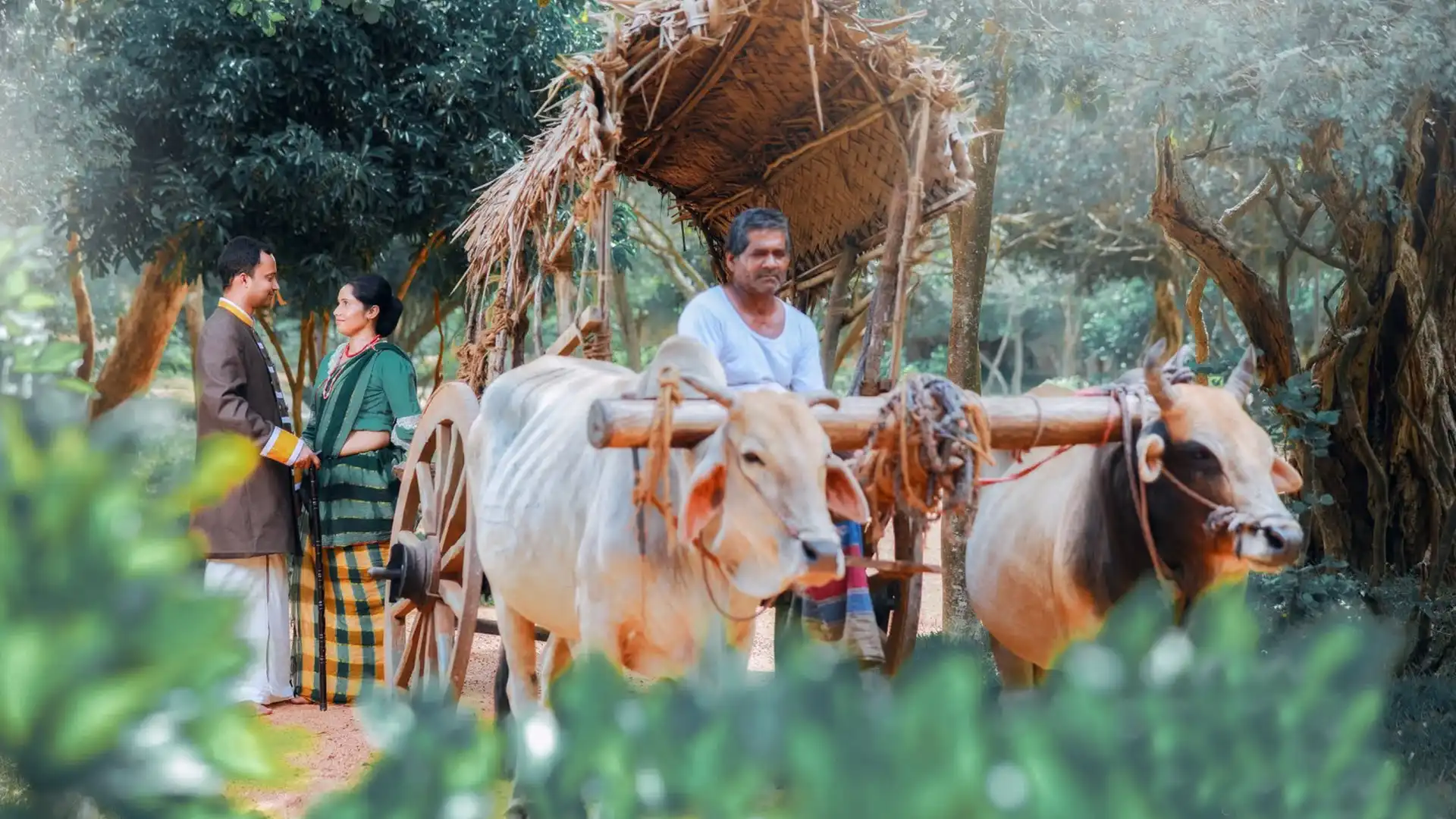 Traditional Sri Lankan Newlyweds on a Bullock Cart – Sri Lanka Travel Tours