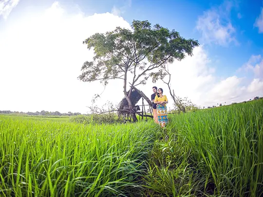Paddy Field Wedding Venue in Sri Lanka – Sri Lanka Travel Tours